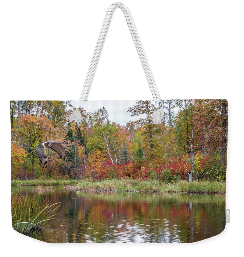 Autumn Weekender Tote Bag featuring the photograph Autumn Sandhill Crane by Patti Deters