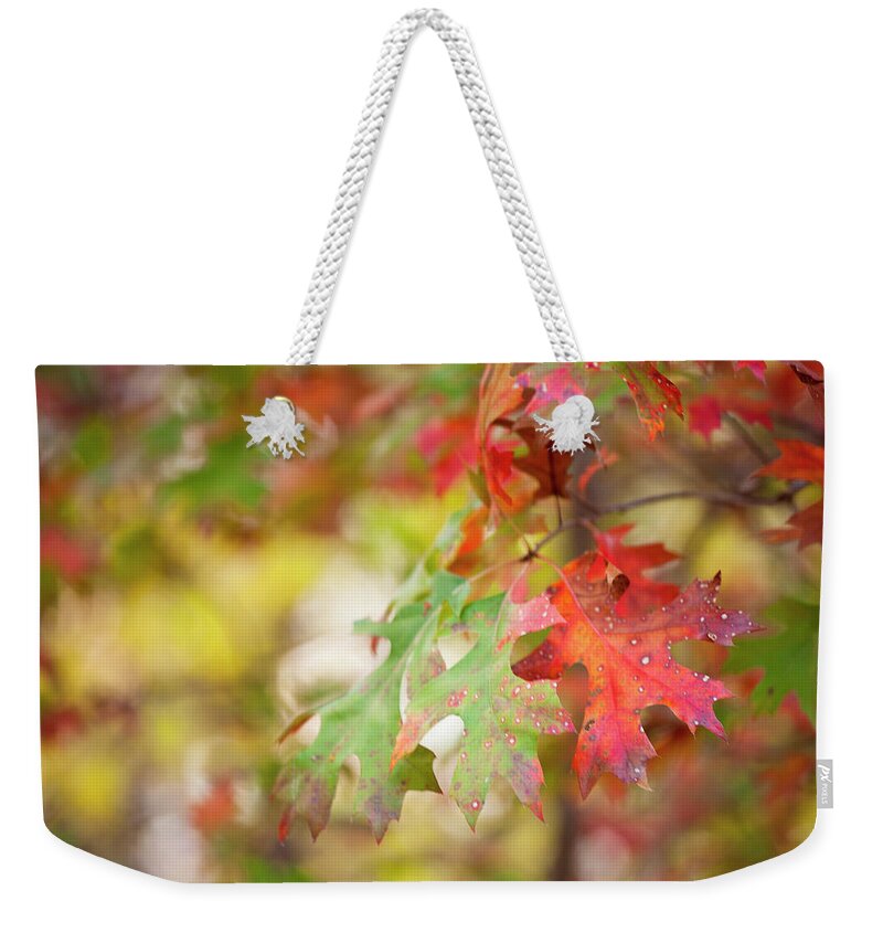 Autumn Leaves Weekender Tote Bag featuring the photograph Autumn Splendor by Toni Hopper