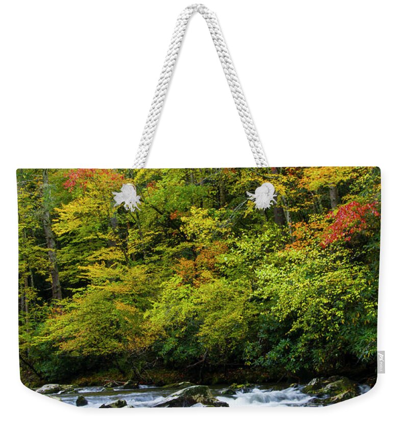 Autumn Weekender Tote Bag featuring the photograph Autumn Stream by Larry Bohlin
