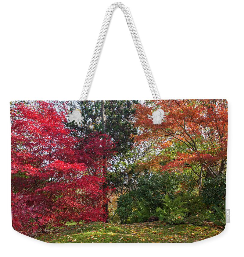 Jenny Rainbow Fine Art Photography Weekender Tote Bag featuring the photograph Autumn Time in Japanese Garden 5 by Jenny Rainbow