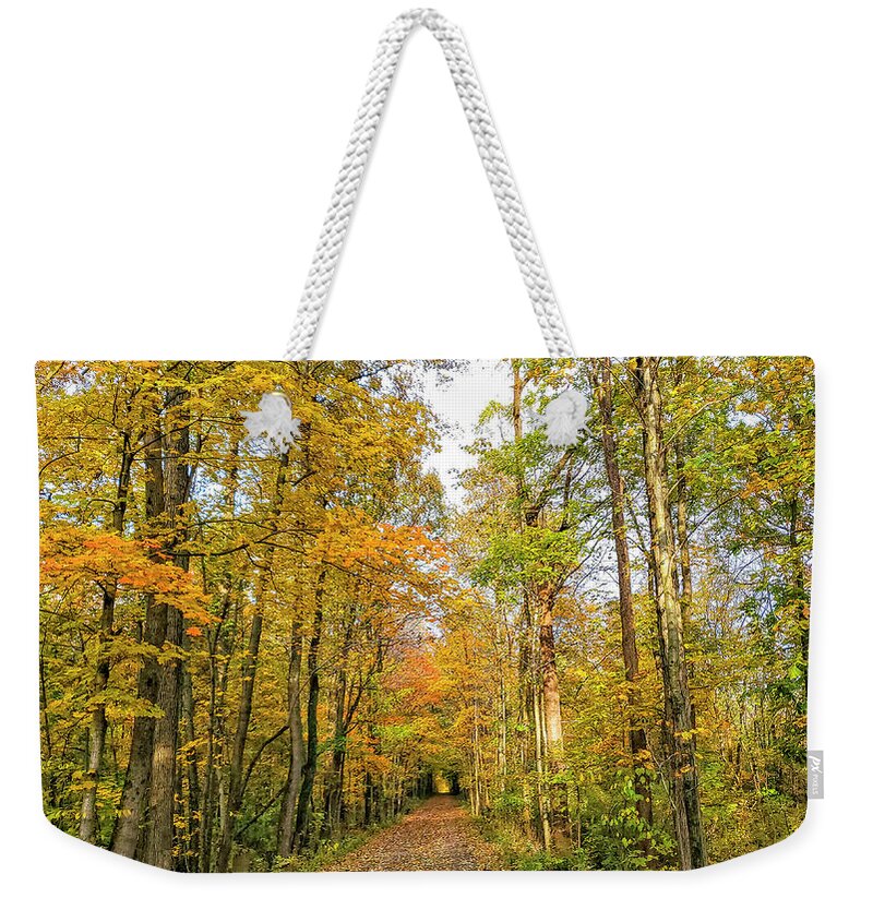Autumn Weekender Tote Bag featuring the photograph Autumn Trail by Chris Spencer
