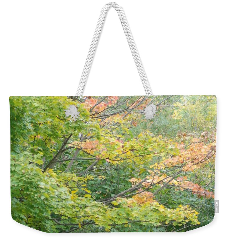  Weekender Tote Bag featuring the photograph Autumn Transition 111 by Ee Photography