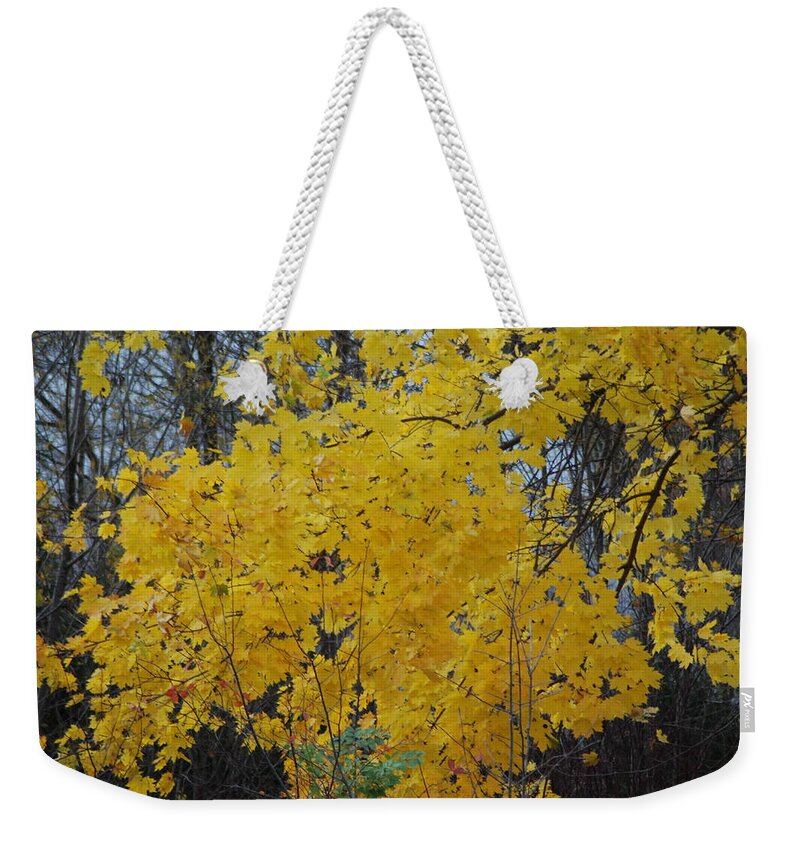  Weekender Tote Bag featuring the photograph Autumn Transition 143 by Ee Photography
