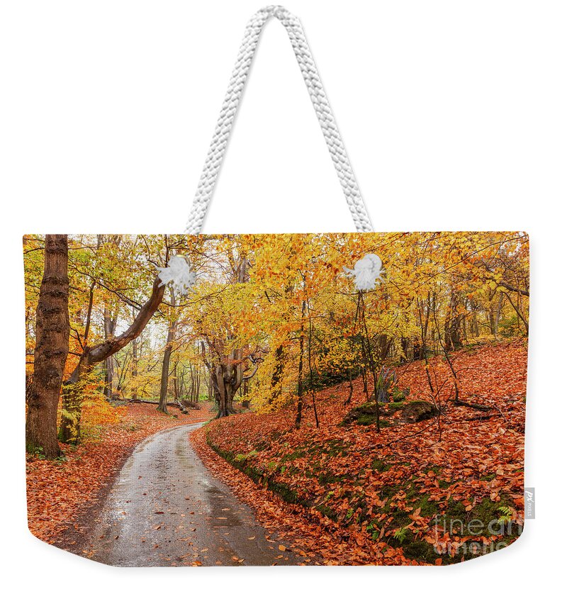 Norfolk Weekender Tote Bag featuring the photograph Norfolk autumn woodland and winding rural road by Simon Bratt