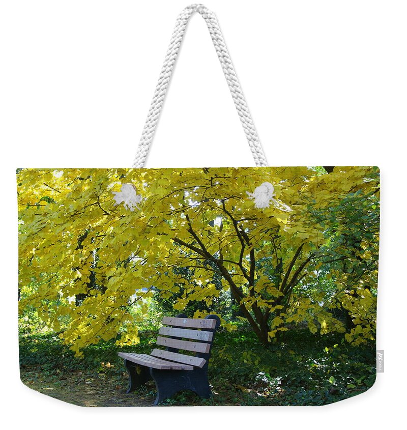 Beautiful Weekender Tote Bag featuring the photograph Autumnal Solitude by Dora Sofia Caputo
