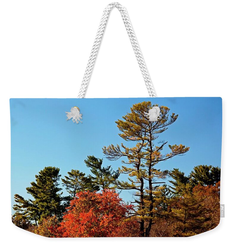Autumn Weekender Tote Bag featuring the photograph Autumn Now by Allen Nice-Webb