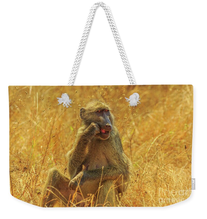 Baboon Weekender Tote Bag featuring the photograph Baboon eating Africa by Benny Marty