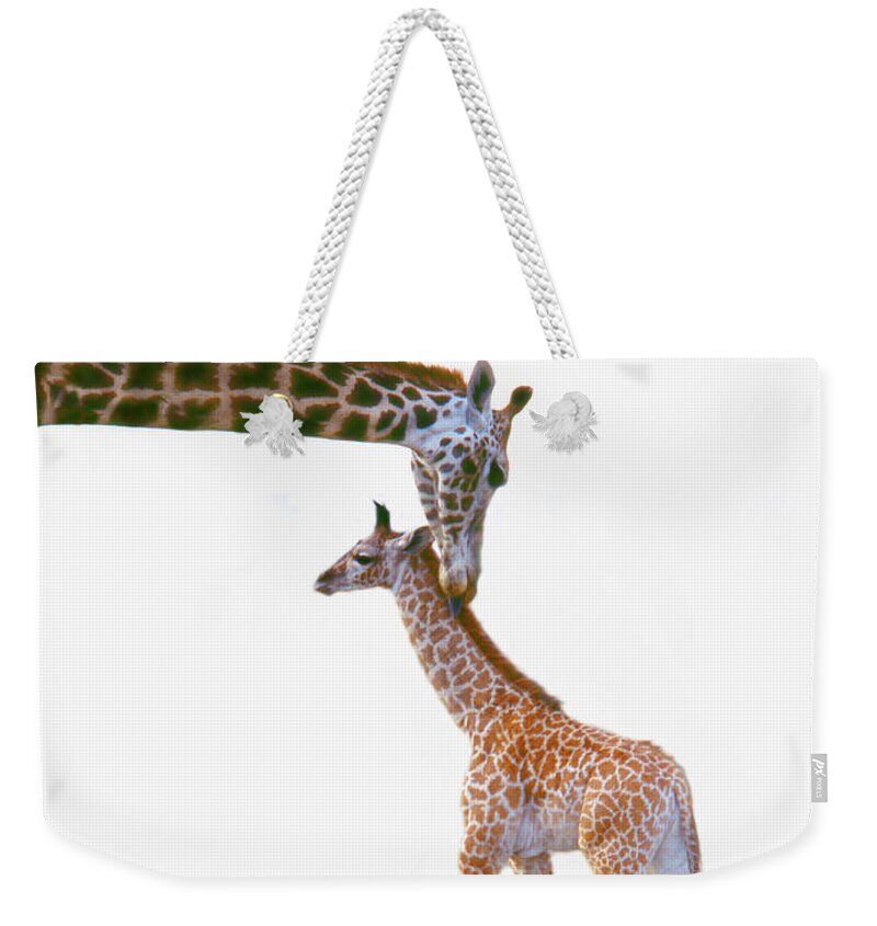 White Background Weekender Tote Bag featuring the photograph Baby Giraffe With Mother by Grant Faint