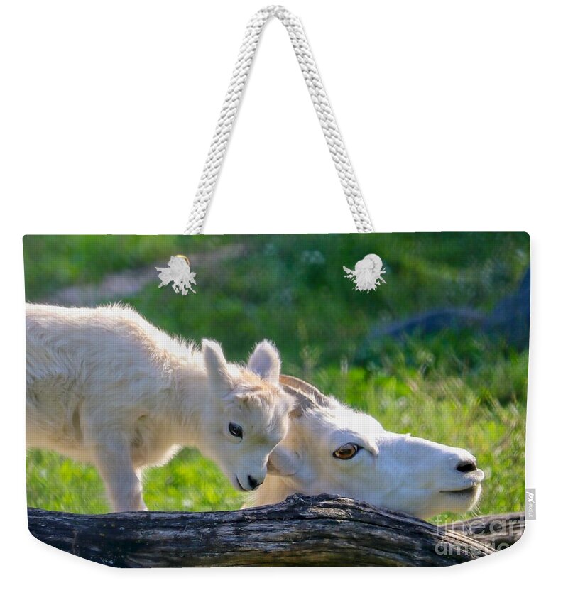 Animal Weekender Tote Bag featuring the photograph Baby Loves Mama by Susan Rydberg