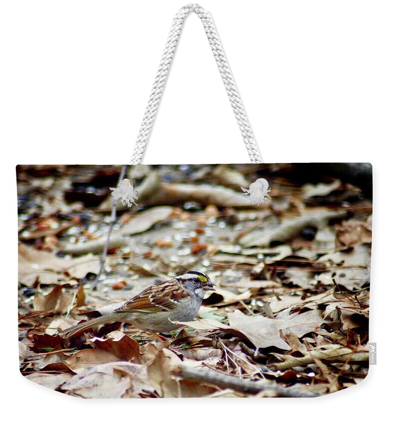 Bird Weekender Tote Bag featuring the photograph Back Yard Buffet by DArcy Evans