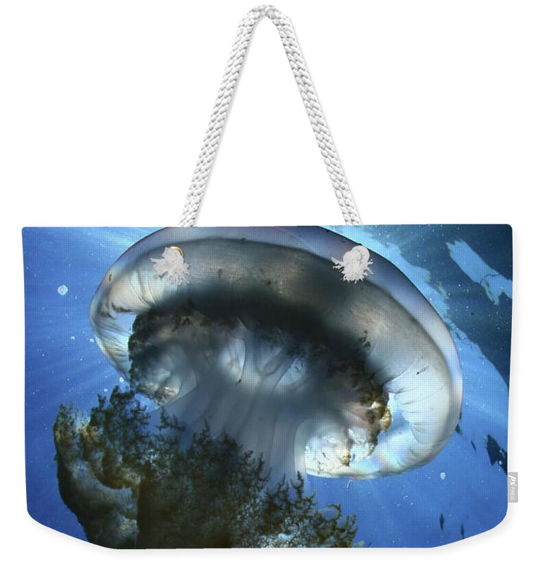 Underwater Weekender Tote Bag featuring the photograph Backlight With Jellyfish by 548901005677