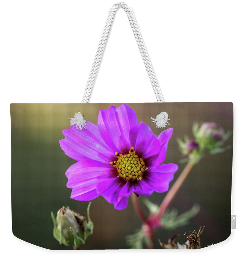 Flower Weekender Tote Bag featuring the photograph Backlit Flower by Aaron Burrows