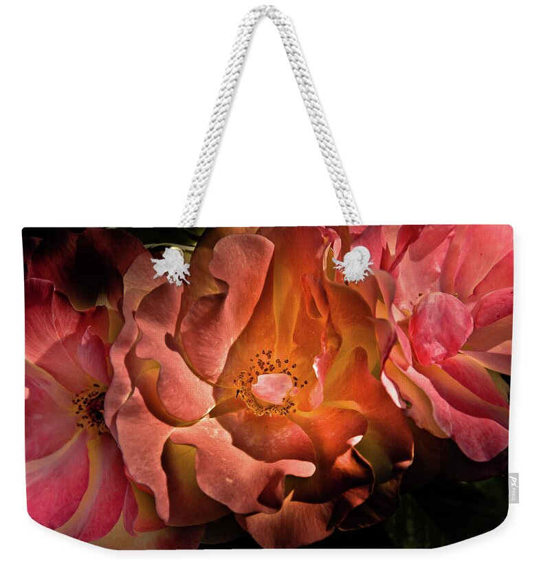 Brian Carson Weekender Tote Bag featuring the photograph Backyard Flowers 40 Color Version by Brian Carson