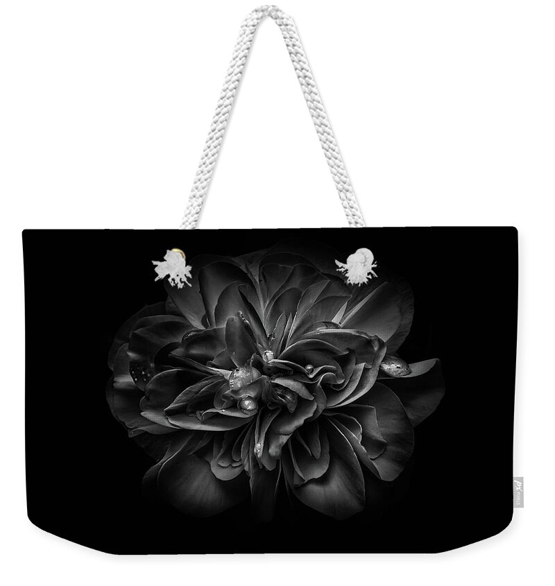 Brian Carson Weekender Tote Bag featuring the photograph Backyard Flowers In Black And White 67 by Brian Carson