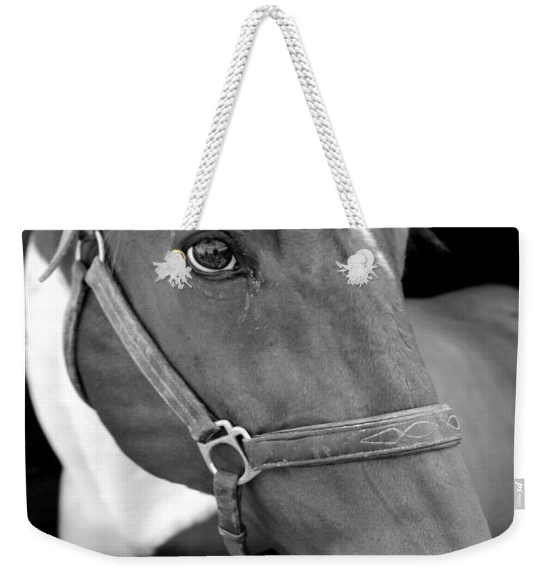 Horse Weekender Tote Bag featuring the photograph Bad hair day by Imagery-at- Work