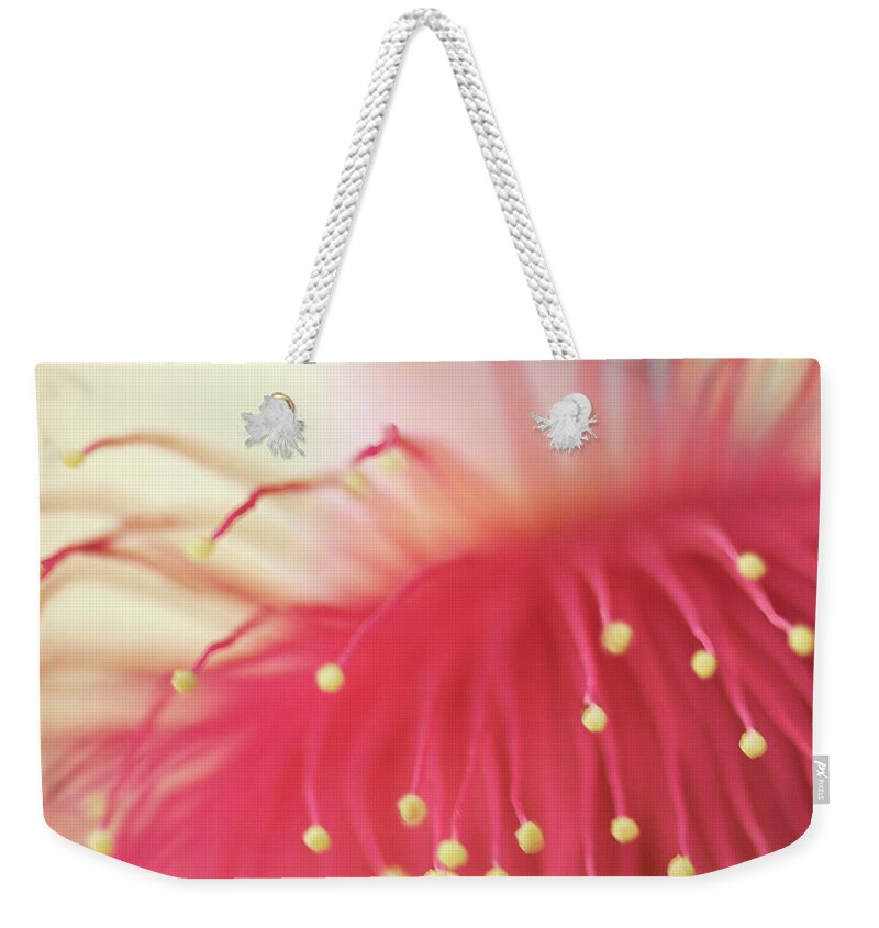 Outdoors Weekender Tote Bag featuring the photograph Bad Hair Day by Sharon Lapkin