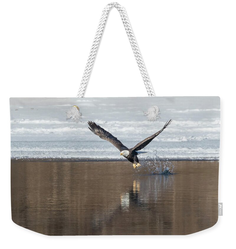 Bald Eagle Weekender Tote Bag featuring the photograph Bald Eagle 2018-12 by Thomas Young