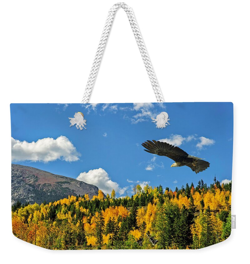 Aspen Weekender Tote Bag featuring the photograph Bald Eagle over the Aspen by Stephen Johnson