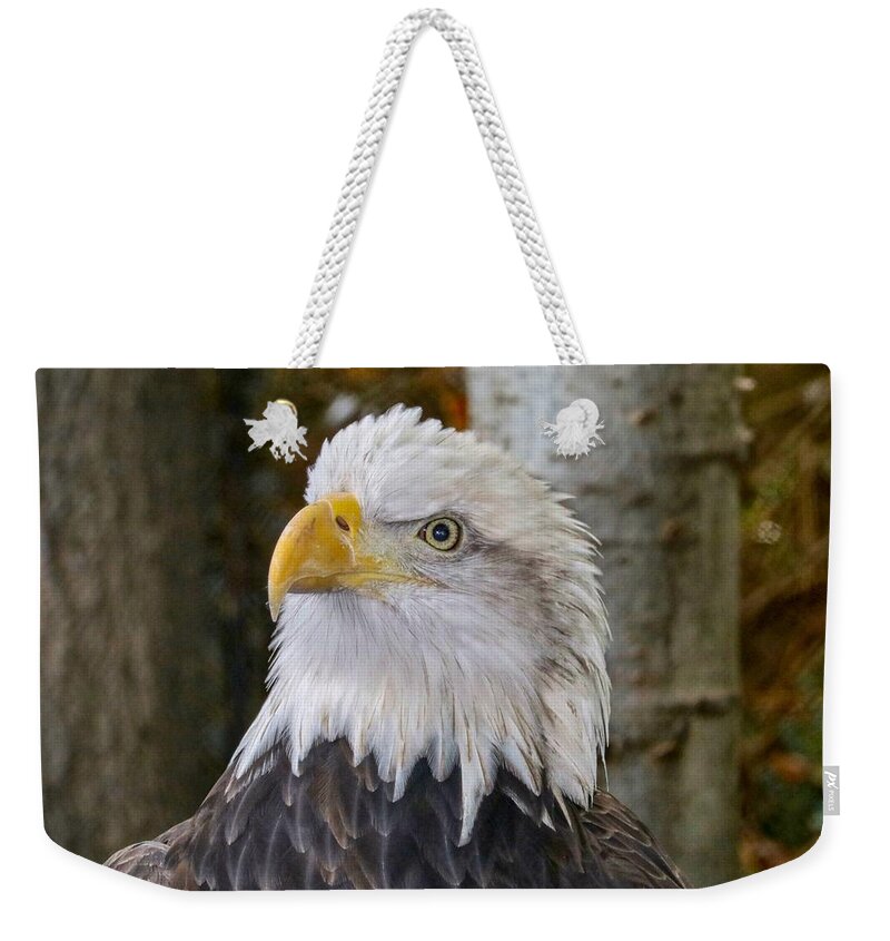 Eagle Weekender Tote Bag featuring the photograph Bald Eagle Portrait by Susan Rydberg