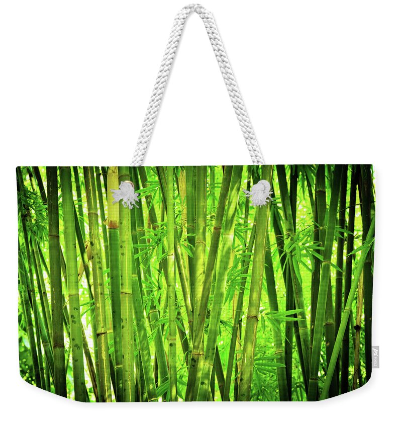 Grass Weekender Tote Bag featuring the photograph Bamboo Forest by Nikada