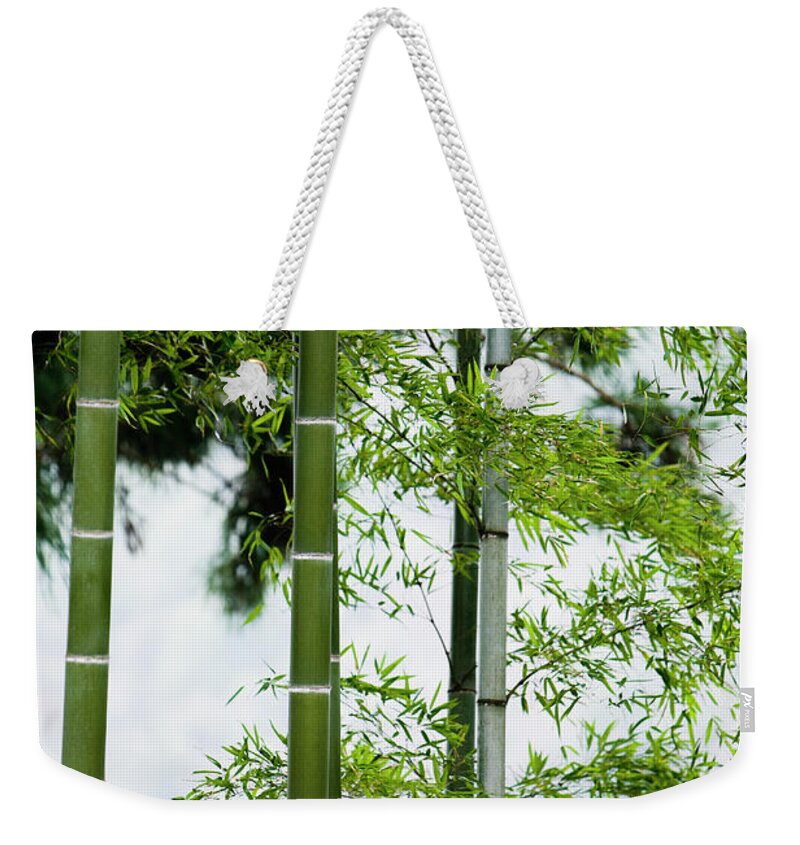 Bamboo Weekender Tote Bag featuring the photograph Bamboo by Mixa