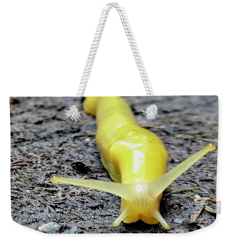 Yellow Weekender Tote Bag featuring the photograph Banana Slug by Misty Morehead