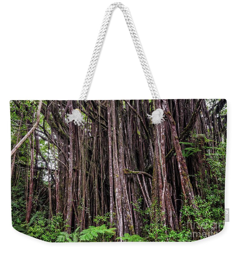 Akaka Falls State Park Weekender Tote Bag featuring the photograph Banyan Tree by Al Andersen
