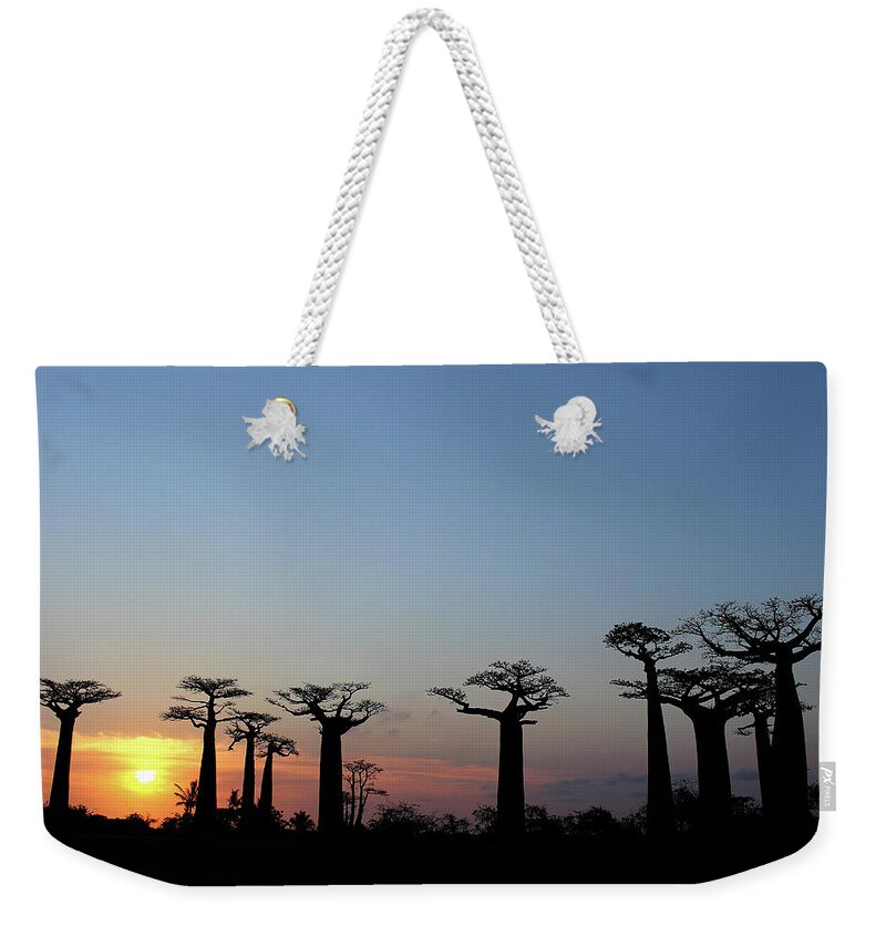  Weekender Tote Bag featuring the photograph Baobab Trees Sunset 2 by Eric Pengelly