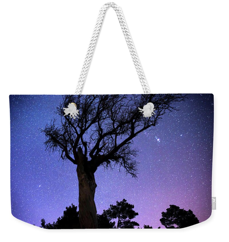Scenics Weekender Tote Bag featuring the photograph Bare Tree Against Starry Sky By Night by Gm Stock Films