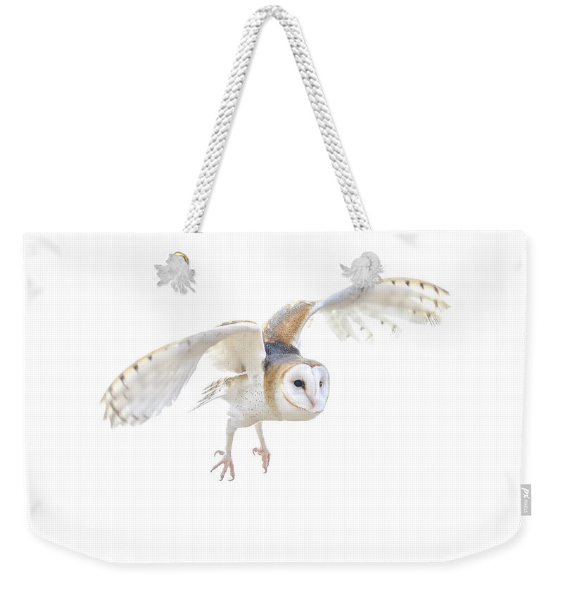 7932 Weekender Tote Bag featuring the photograph Barn Owl in Flight by Tom and Pat Cory