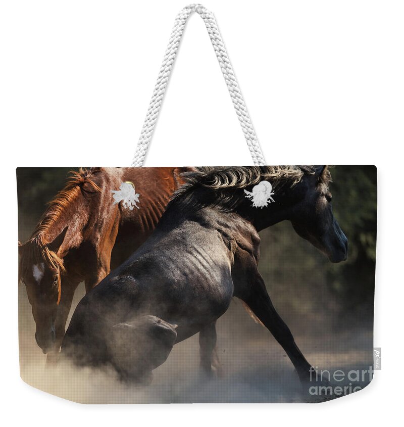 Battle Weekender Tote Bag featuring the photograph Battle 2 by Shannon Hastings