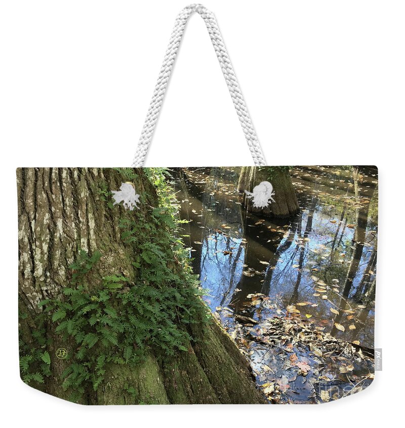 Bayou Weekender Tote Bag featuring the photograph Bayou 1 by Dominique Fortier