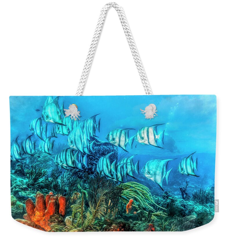 Fishing Weekender Tote Bag featuring the photograph Beautiful Angels on the Reef Painting by Debra and Dave Vanderlaan