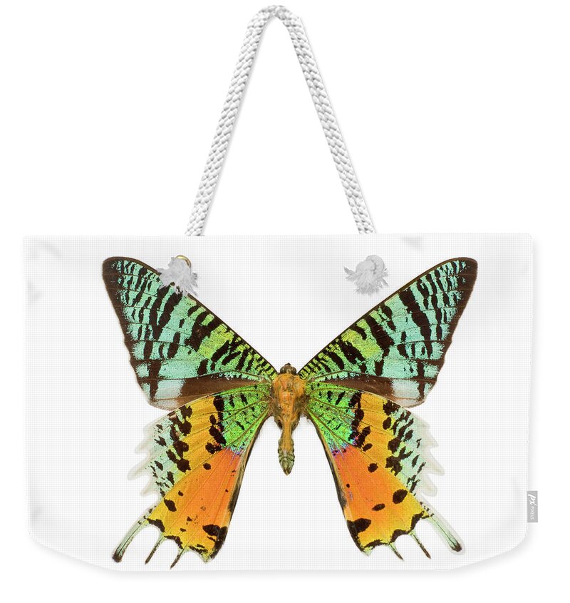 White Background Weekender Tote Bag featuring the photograph Beautiful Butterfly by Magnetcreative