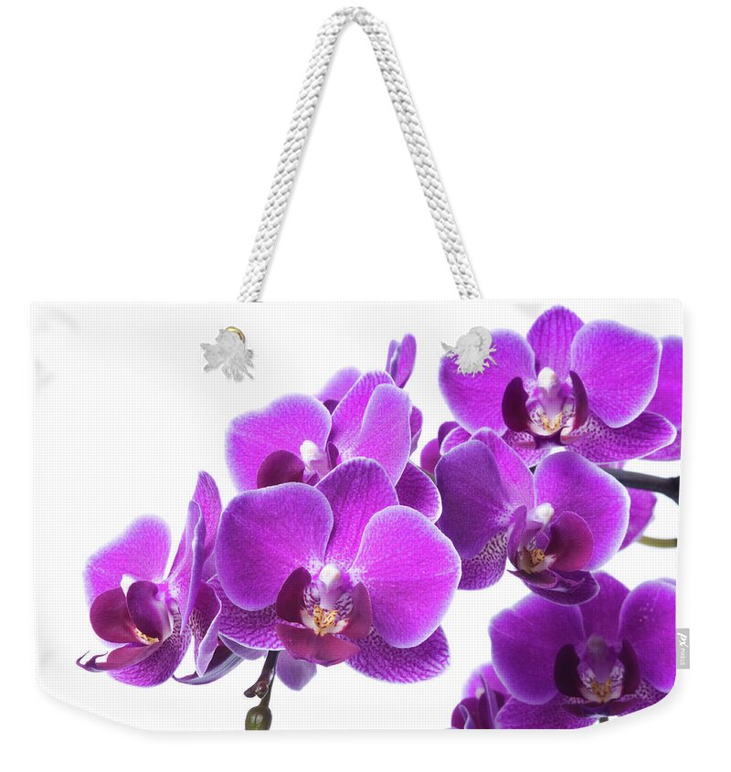 White Background Weekender Tote Bag featuring the photograph Beautiful Purple Orchid On White by Digihelion