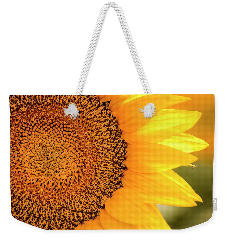 Colorado Weekender Tote Bag featuring the photograph Beautiful Sunlit Sunflower Bloom by Teri Virbickis