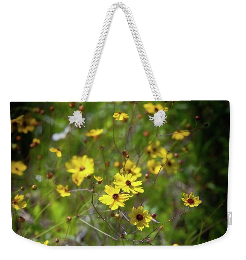 Flower Weekender Tote Bag featuring the photograph Beautiful Tickseed Flowers by T Lynn Dodsworth