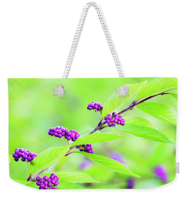 Berries Weekender Tote Bag featuring the photograph Beauty Berry by Patty Colabuono