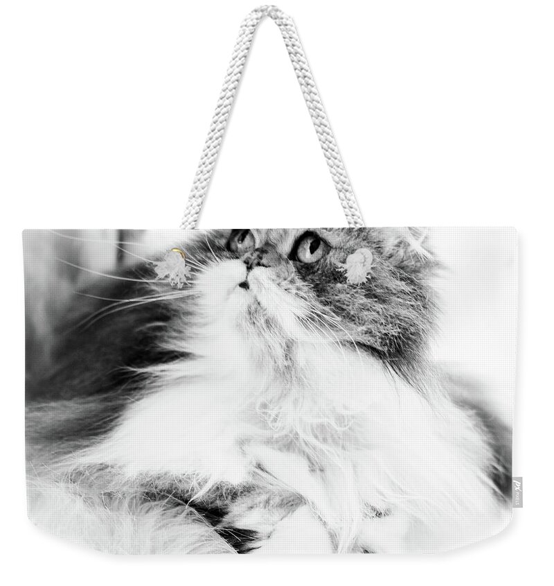 White And Stripes Weekender Tote Bag featuring the photograph Beauty by Inge Elewaut