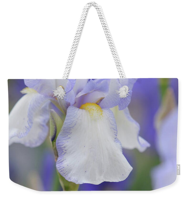 Jenny Rainbow Fine Art Photography Weekender Tote Bag featuring the photograph Beauty of Irises. Rheinfels 1 by Jenny Rainbow