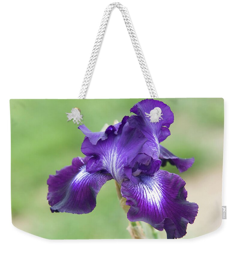 Jenny Rainbow Fine Art Photography Weekender Tote Bag featuring the photograph Beauty of Irises. Winners Circle 2 by Jenny Rainbow