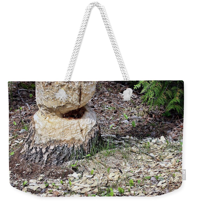 Beaver Weekender Tote Bag featuring the photograph Beaver Work by Tatiana Travelways
