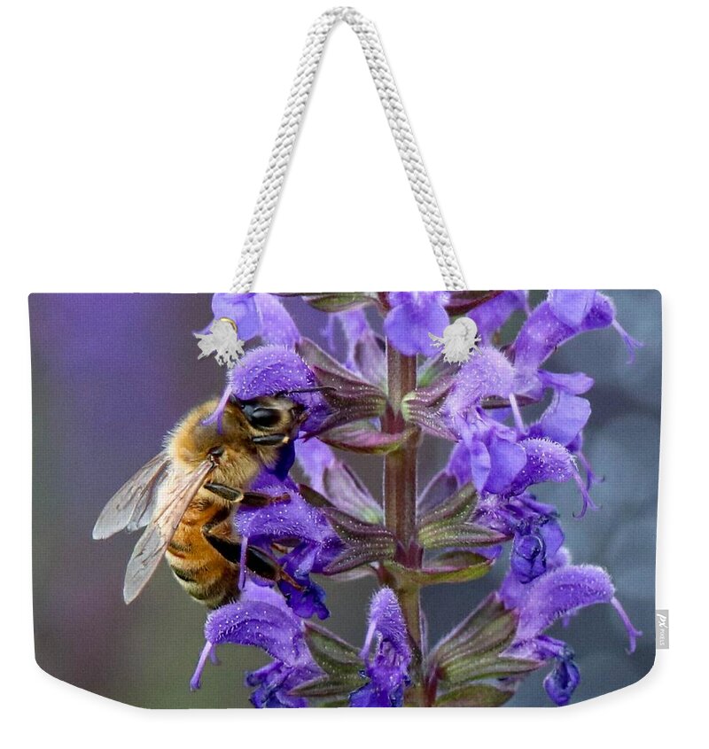 Macro Weekender Tote Bag featuring the photograph Bee-utiful Pollinator by Susan Rydberg