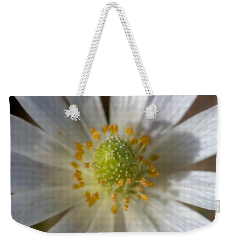 Flower Weekender Tote Bag featuring the photograph Bee Waiting by Ivars Vilums
