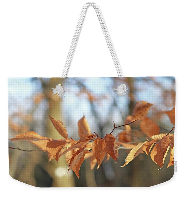 Beech Weekender Tote Bag featuring the photograph Beech Leaves In Fall by Debbie Oppermann