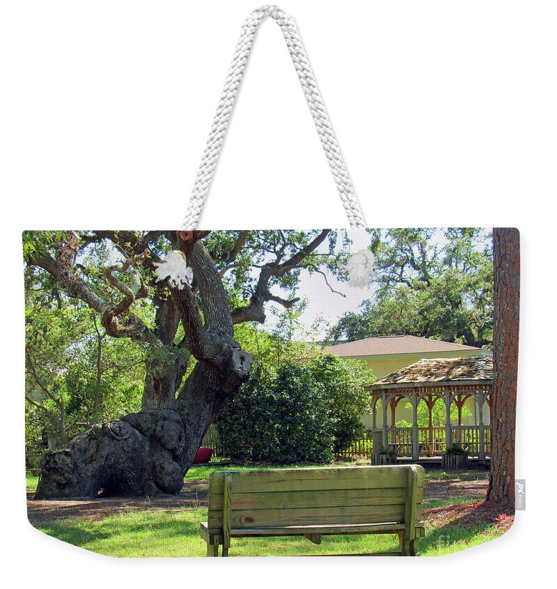 Old Tree Weekender Tote Bag featuring the photograph Been Here Awhile Tree in Park by Roberta Byram