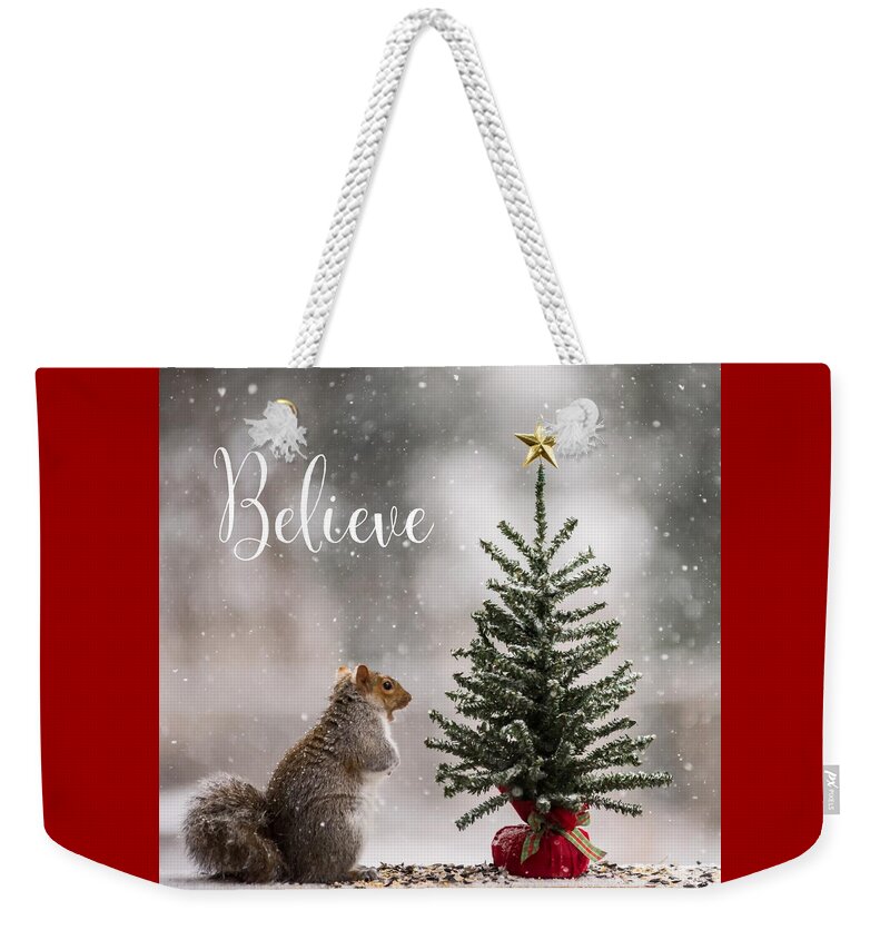Believe Christmas Tree Squirrel Square Weekender Tote Bag featuring the photograph Believe Christmas Tree Squirrel Square by Terry DeLuco