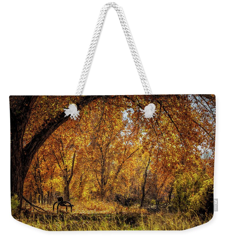 Photographs Weekender Tote Bag featuring the photograph Bench with Autumn Leaves by John A Rodriguez