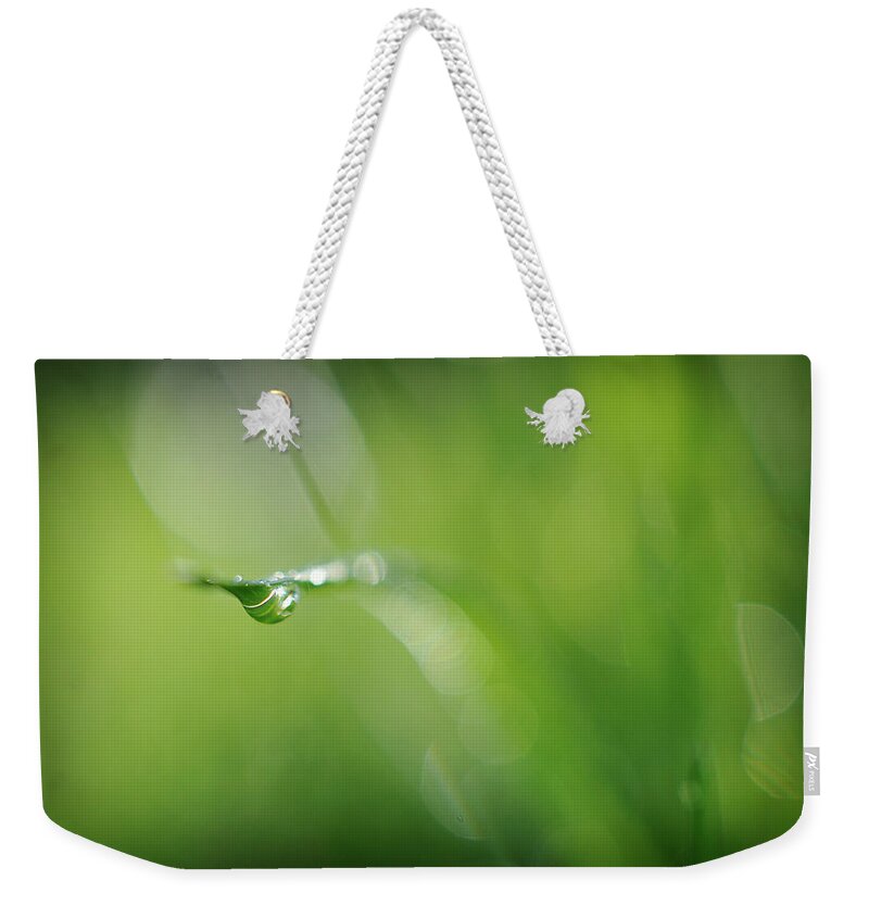 Dew Drop Weekender Tote Bag featuring the photograph Beneath by Michelle Wermuth