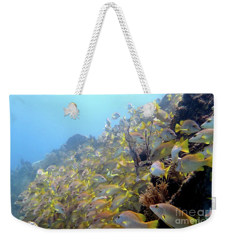 Underwater Weekender Tote Bag featuring the photograph Benwood 16 by Daryl Duda